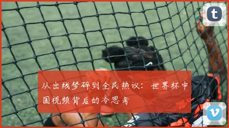 从出线梦碎到全民热议：世界杯中国视频背后的冷思考
